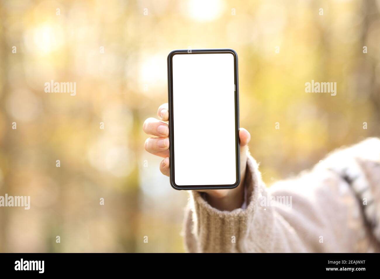 Woman hand showing blank smart phone screen in autumn Stock Photo