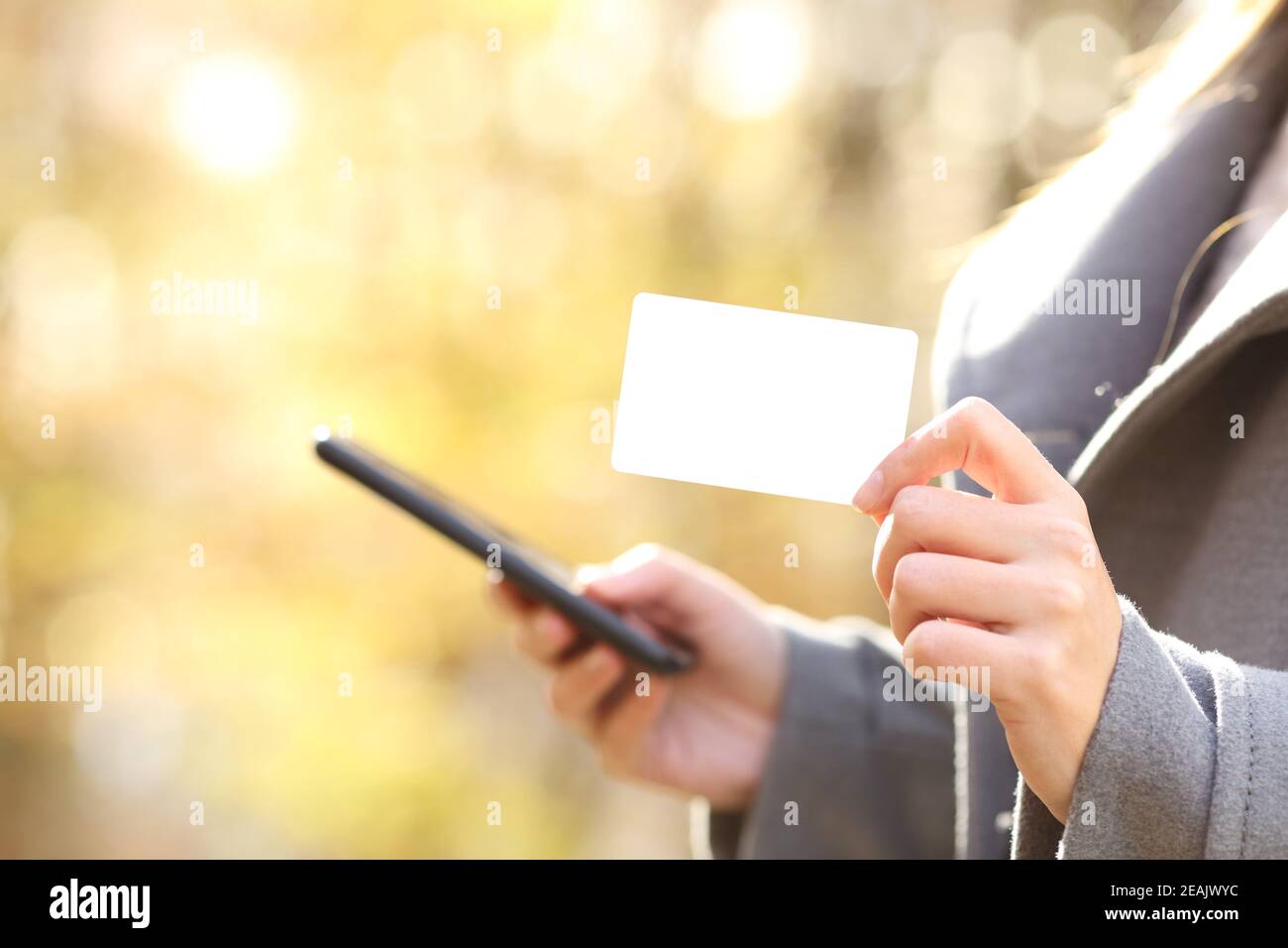 Woman buying online with phone showing credit card in fall Stock Photo