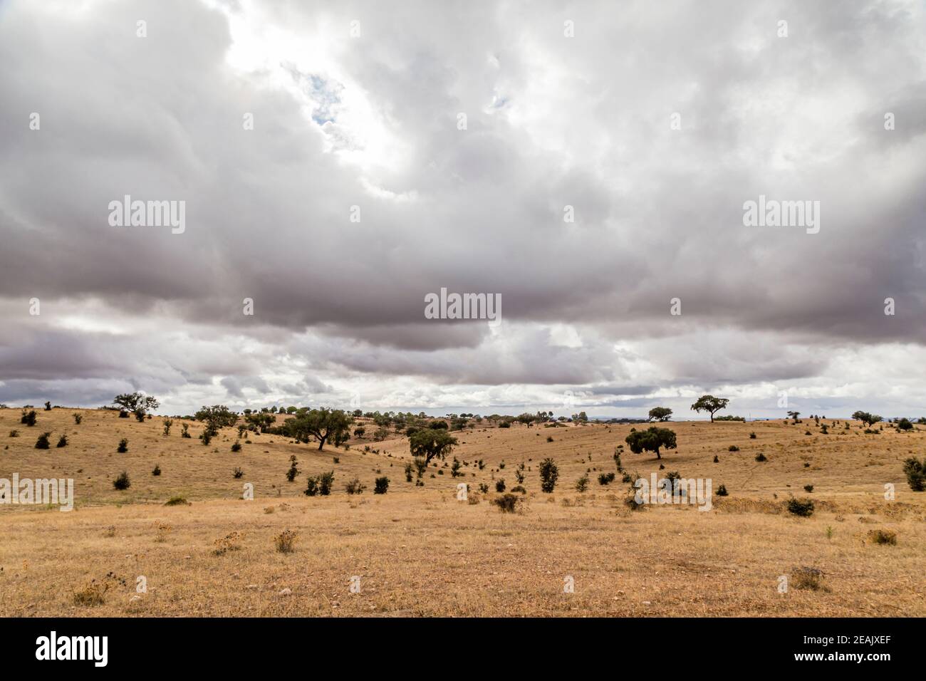 landscape in the district Alentejo, Portugal Stock Photo