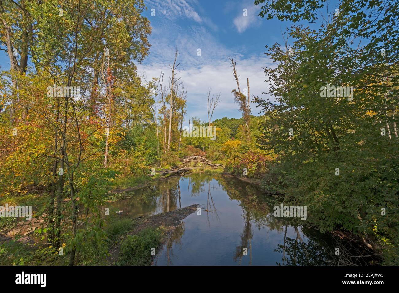 Rose lake state wildlife research area hi-res stock photography 