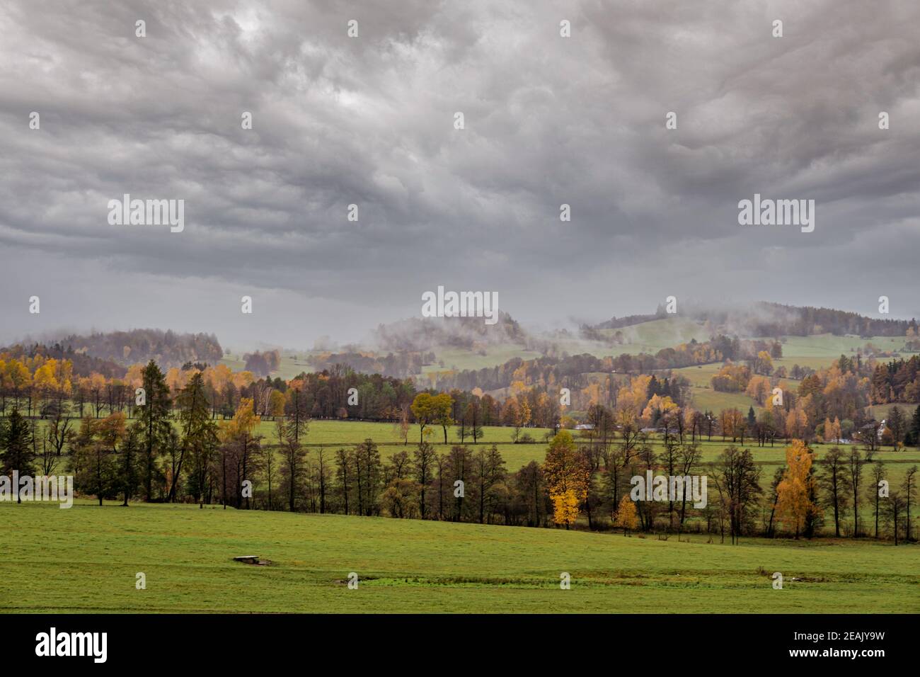 autumn rural panorama with a view of the village, trees and fields