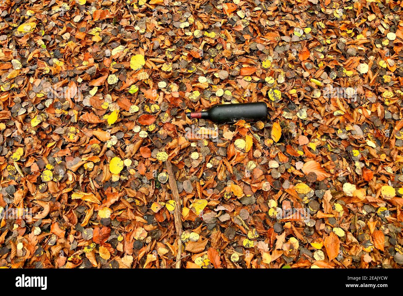 old liquor bottle in autumnal painted leaves Stock Photo