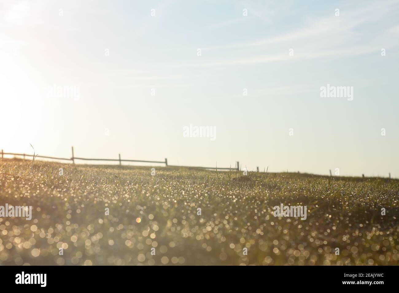 Dewdrops on the grass and sunrise and fence in the distance Stock Photo