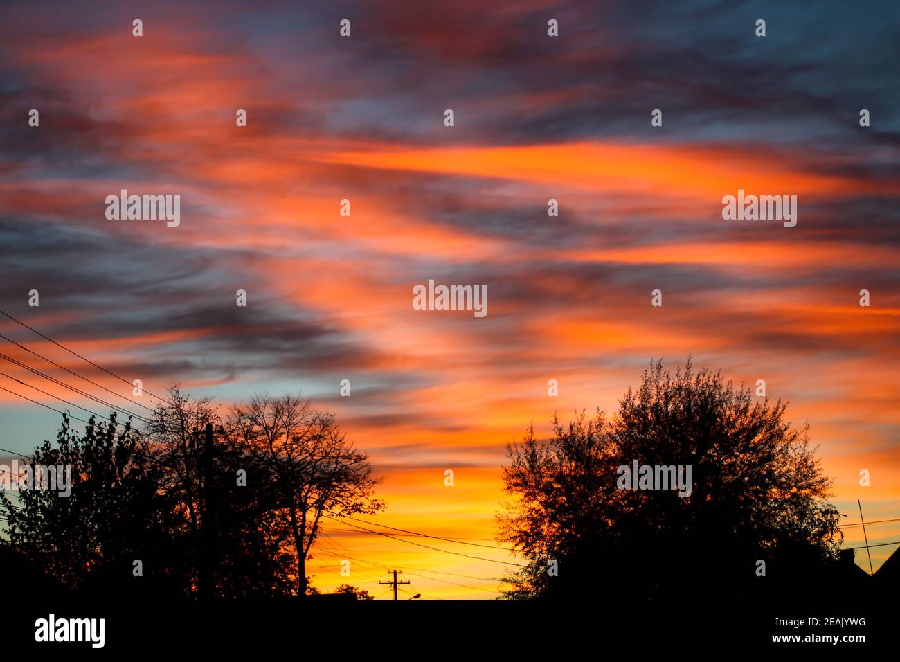 Fire sunset with hazy clouds and backlit tree Stock Photo - Alamy