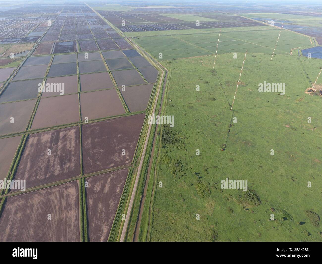 Masts longwave antennas communication among the rice fields flooded Stock Photo