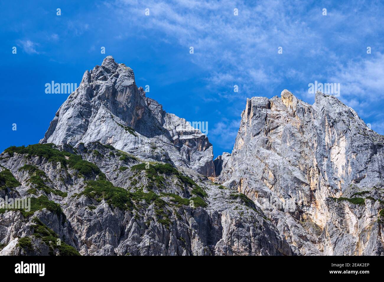 Landscape with mountains and trees in the Berchtesgaden Alps, Germany Stock Photo