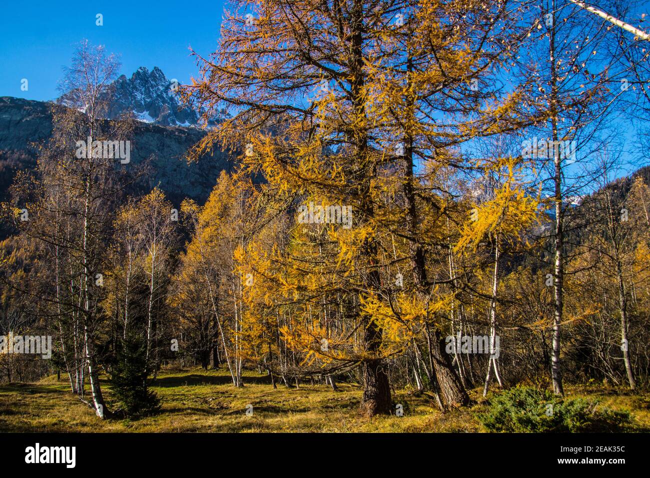 landscape of the french alps in autumn Stock Photo - Alamy