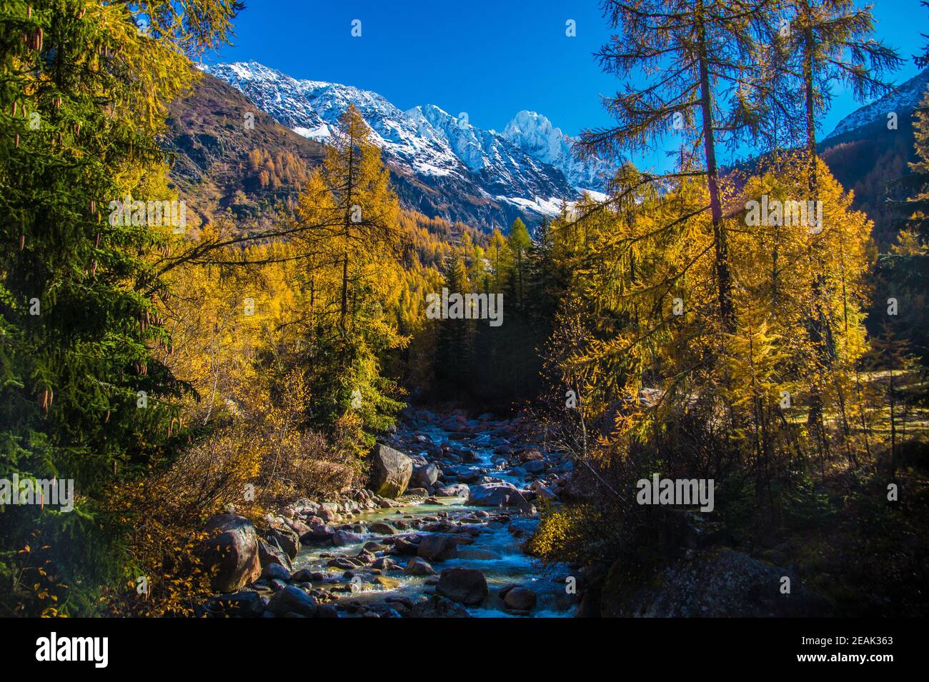 landscape of the french alps in autumn Stock Photo - Alamy
