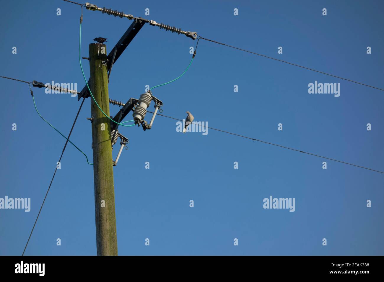 energy-supply-with-a-low-voltage-power-line-2EAK388.jpg