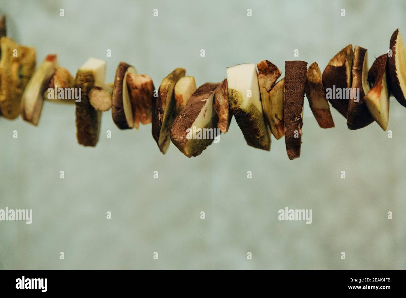 Mushroom harvest. Drying mushrooms. A lot of mushrooms over the gas
