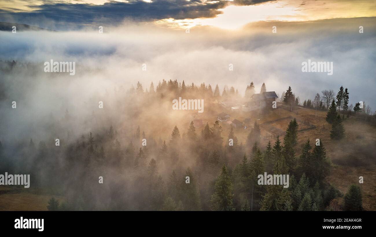 Forest covered by low clouds. Misty fall woodland. Picturesque resort Carpathians range. November morning. Stock Photo