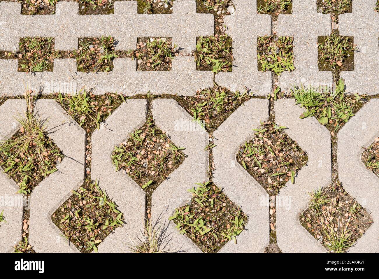 Parking area with lawn grating Stock Photo