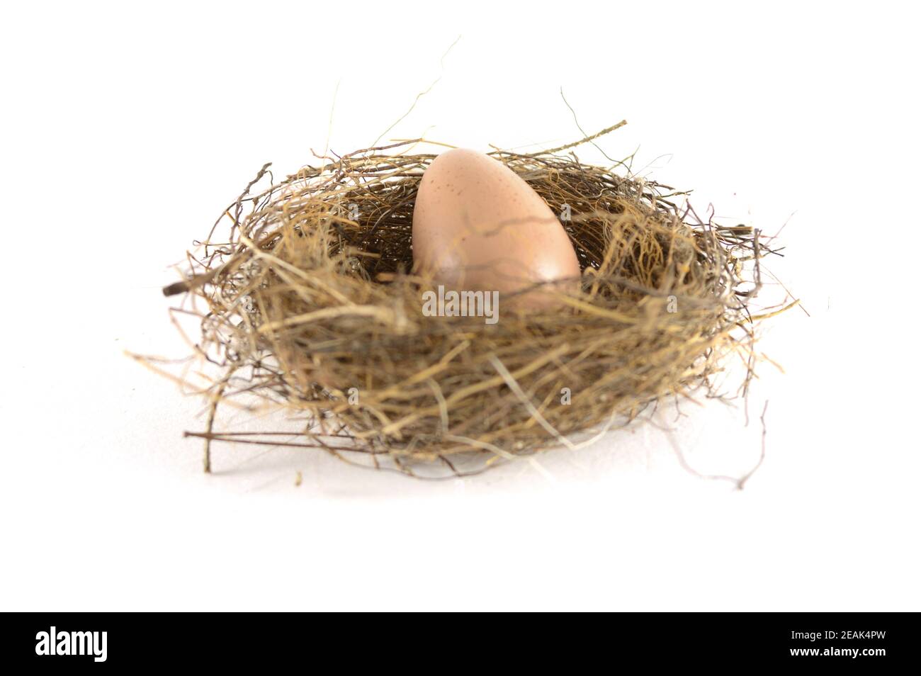 Birds Nest Egg Stock Photo - Alamy