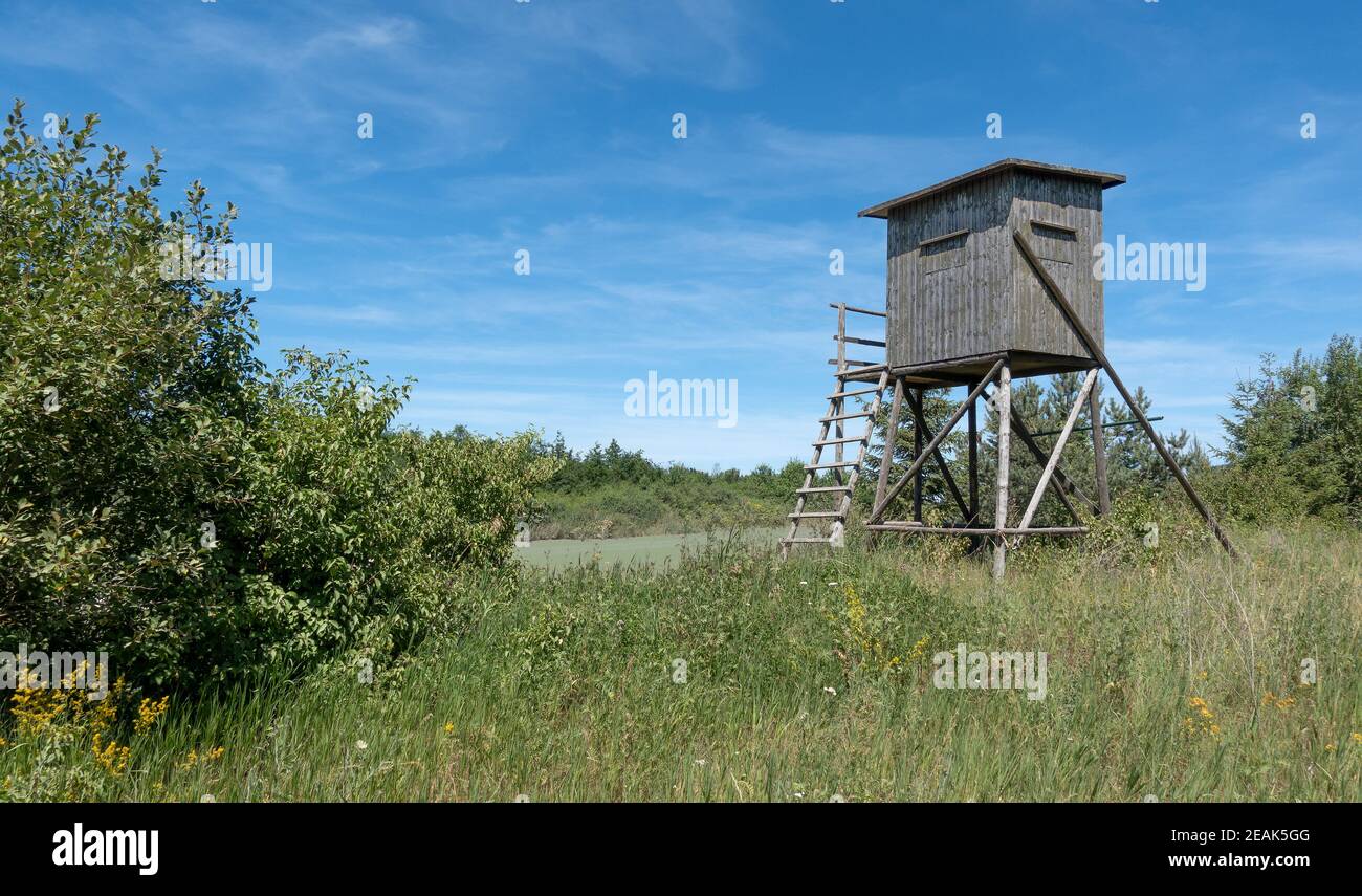 Enclosed deer stand on a wild meadow with bushes Stock Photo Alamy