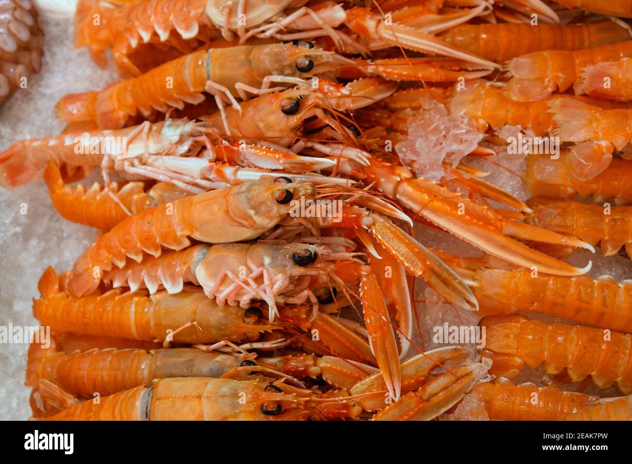 Fresh catch of langoustine lobsters on ice Stock Photo