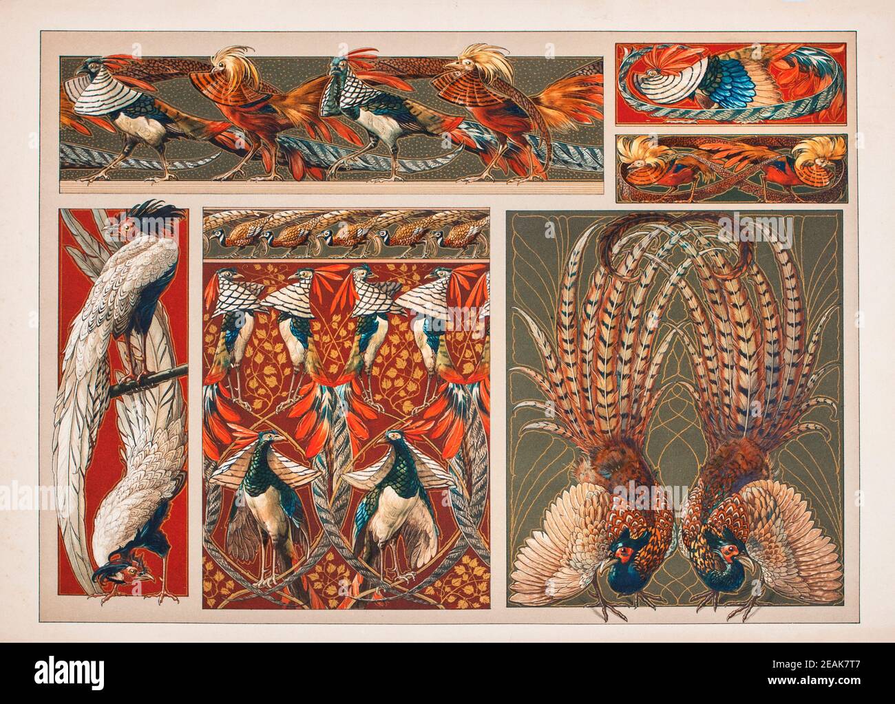 Art Nouveau Lithograph print by Anton Sedar. Animal series Peacocks