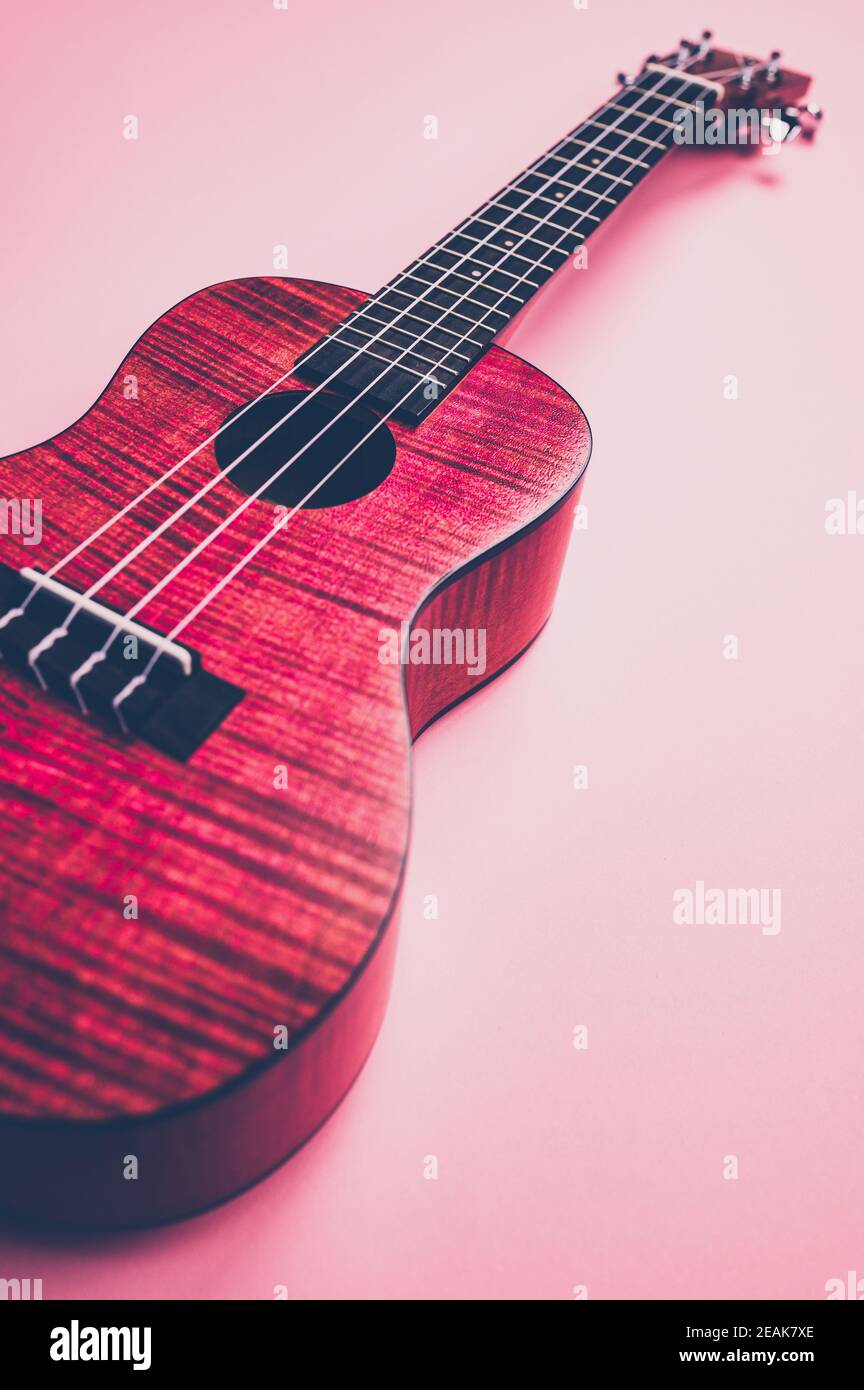 color photo of a pink ukulele lying on a pink background, matt look Stock Photo