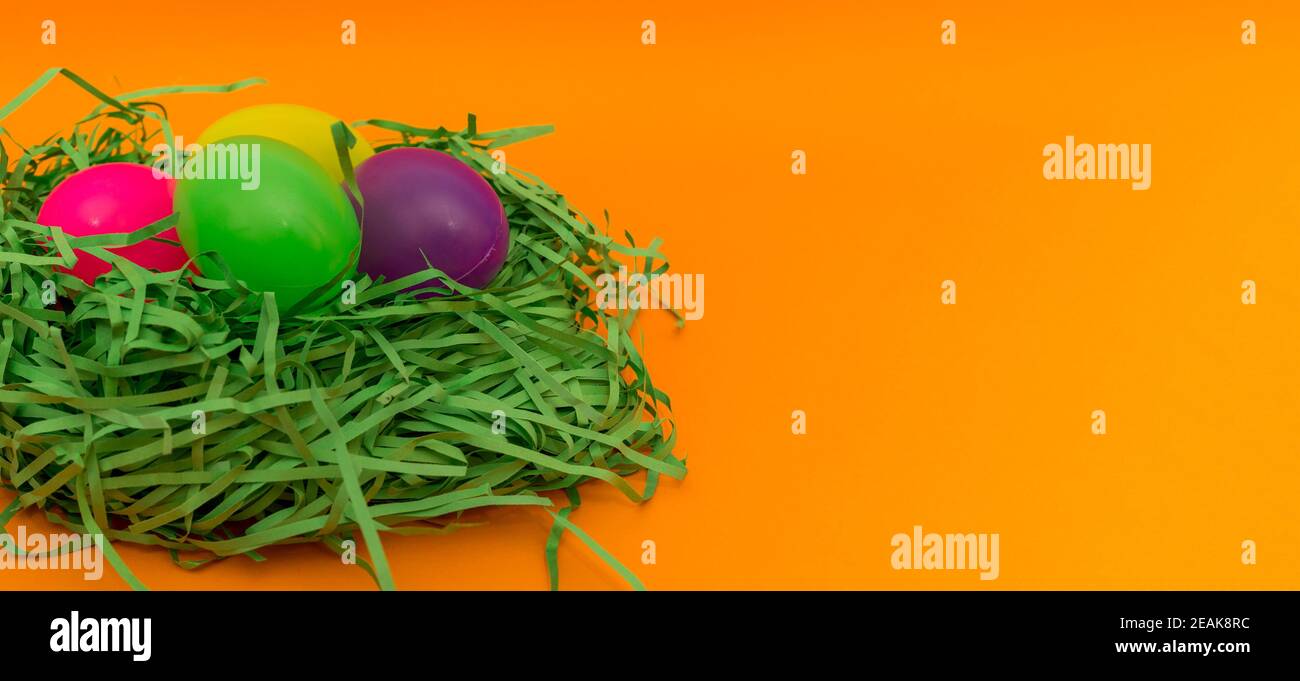 Four Colorful Easter Eggs Sitting in Green nest or Grass.Studio image. Stock Photo