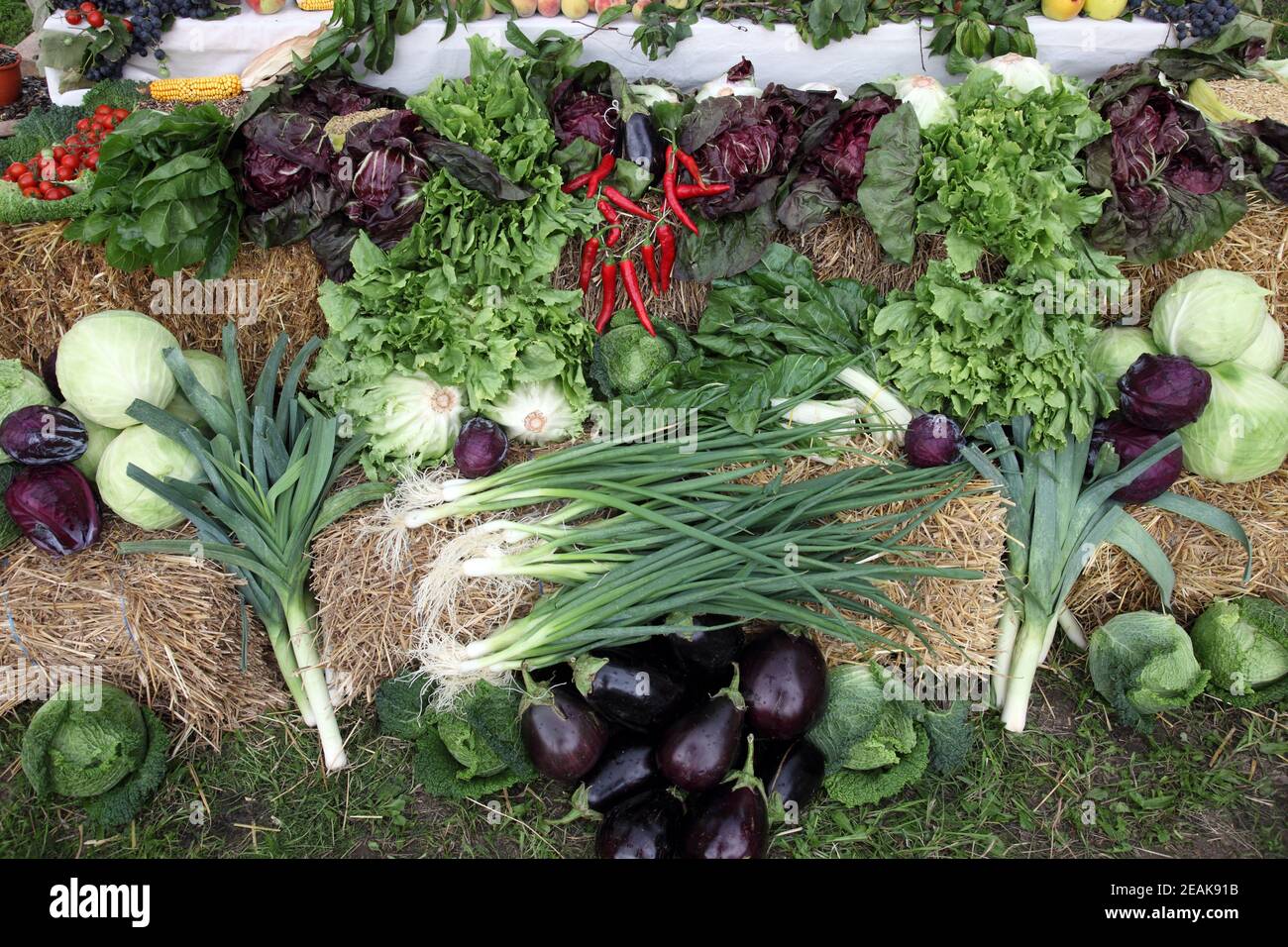 Different types of fruits and vegetables for sale, exposed at the event Dionysius ceremony in Scitarjevo, Croatia Stock Photo