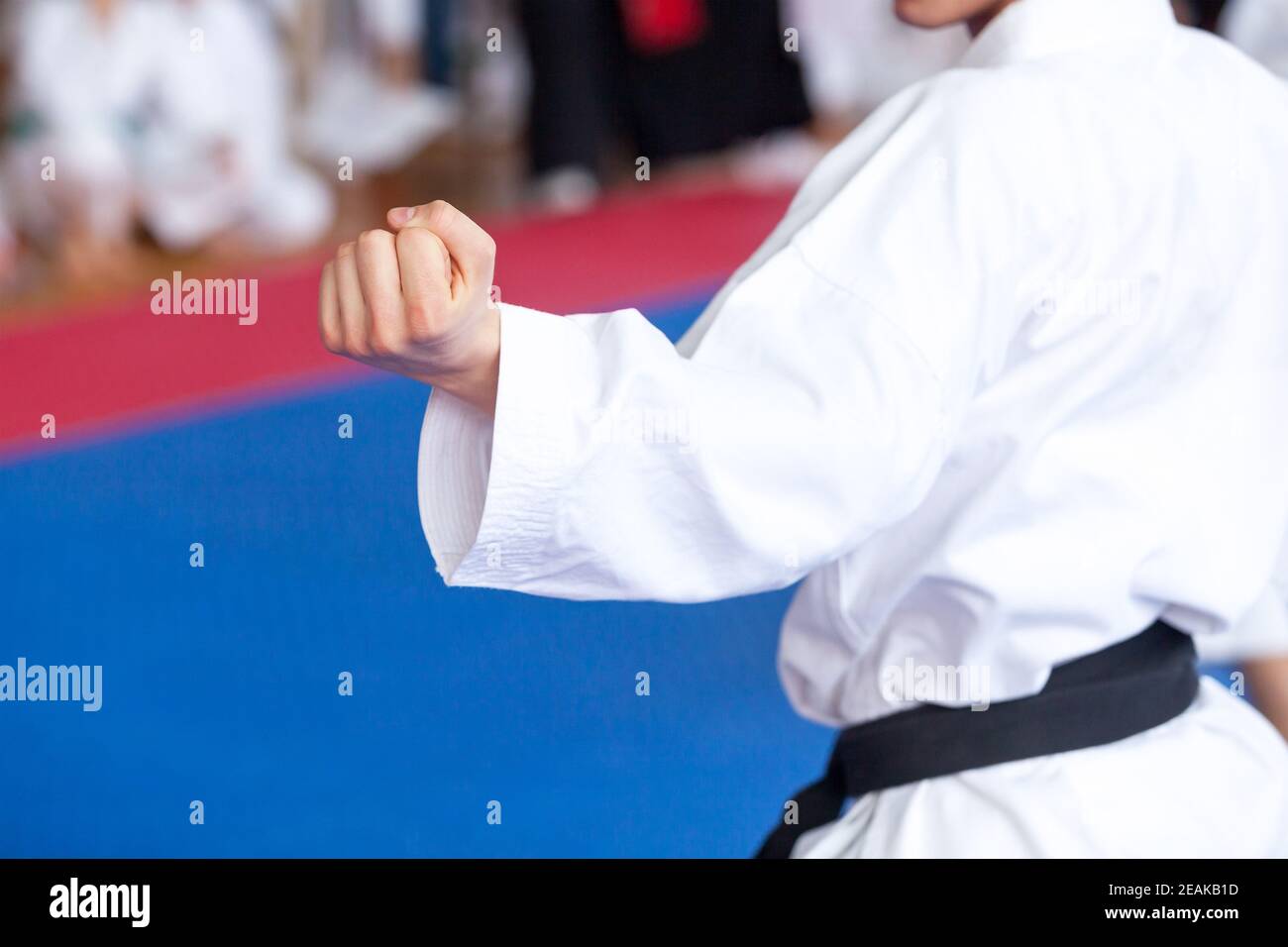 Karate practitioner body position during training. Martial arts. Stock Photo