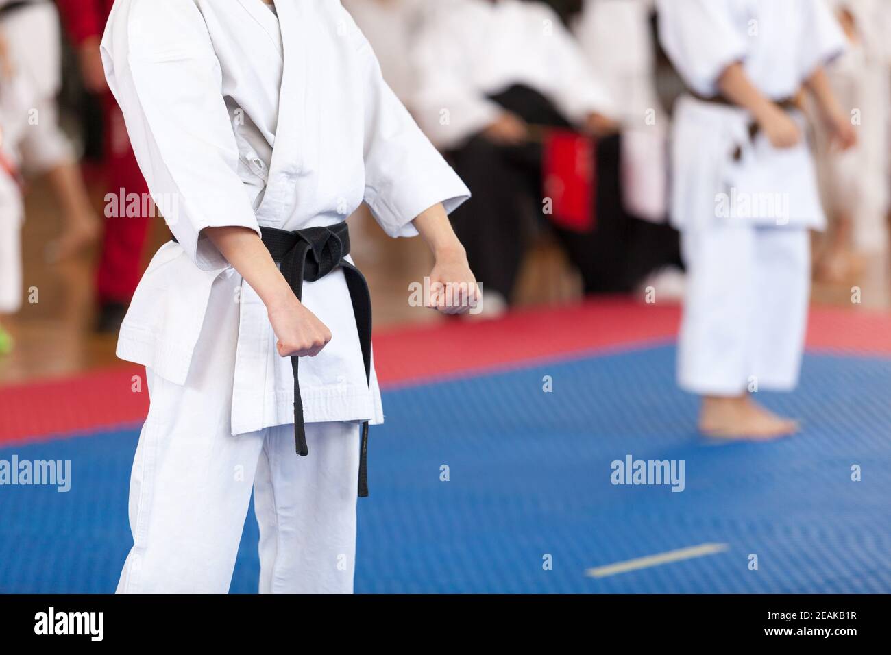 Karate practitioner body position during competition. Martial arts