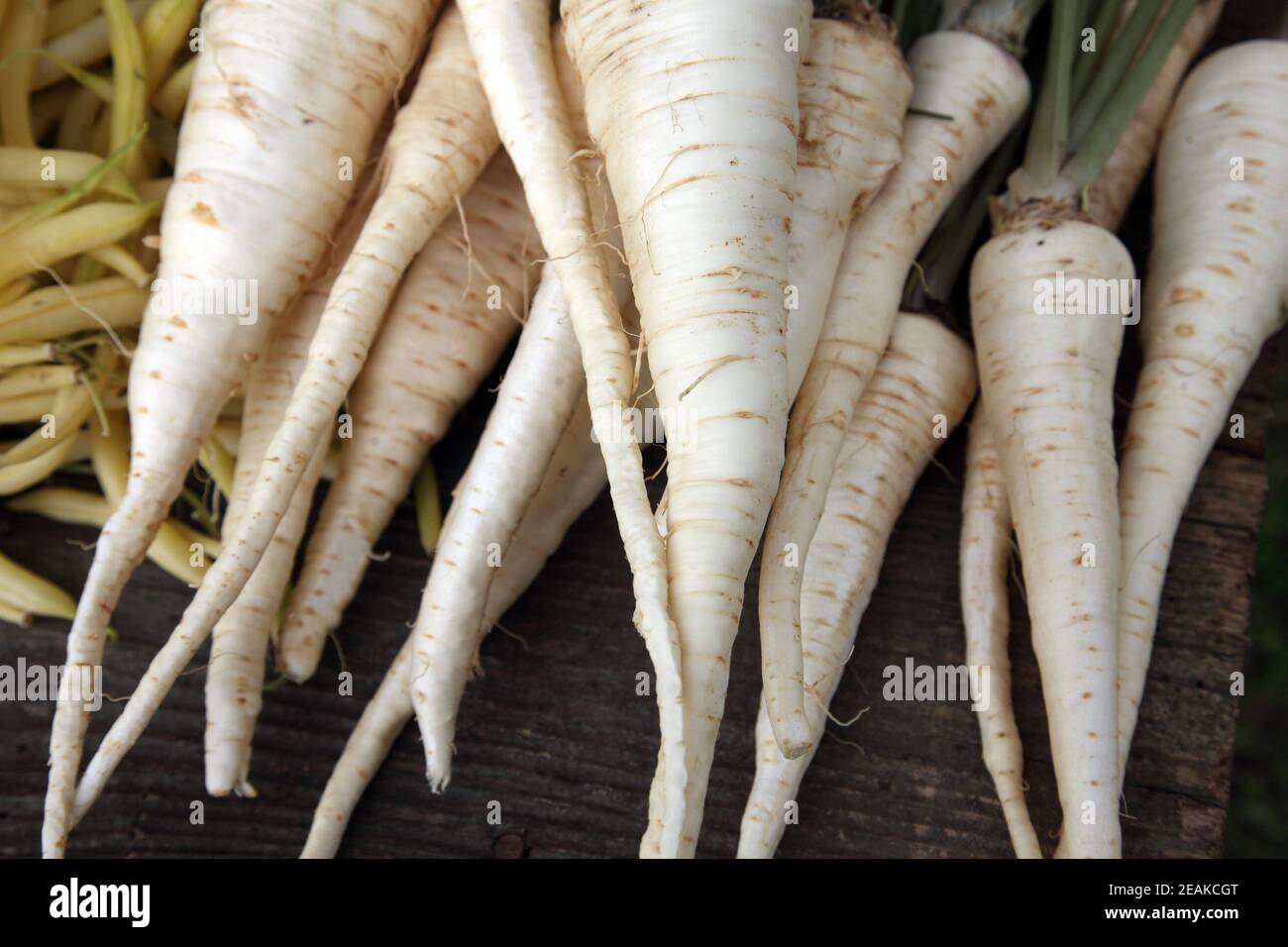 Root parsley exposed for sale at the event Dionysius ceremony in Scitarjevo, Croatia Stock Photo
