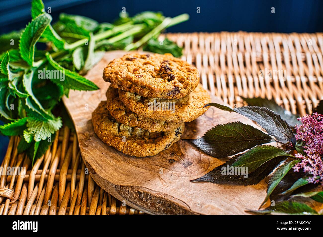 GREAT BRITAIN / England / freshly baked  homemade cranberry cookies/ making artisan cookies at home . Stock Photo