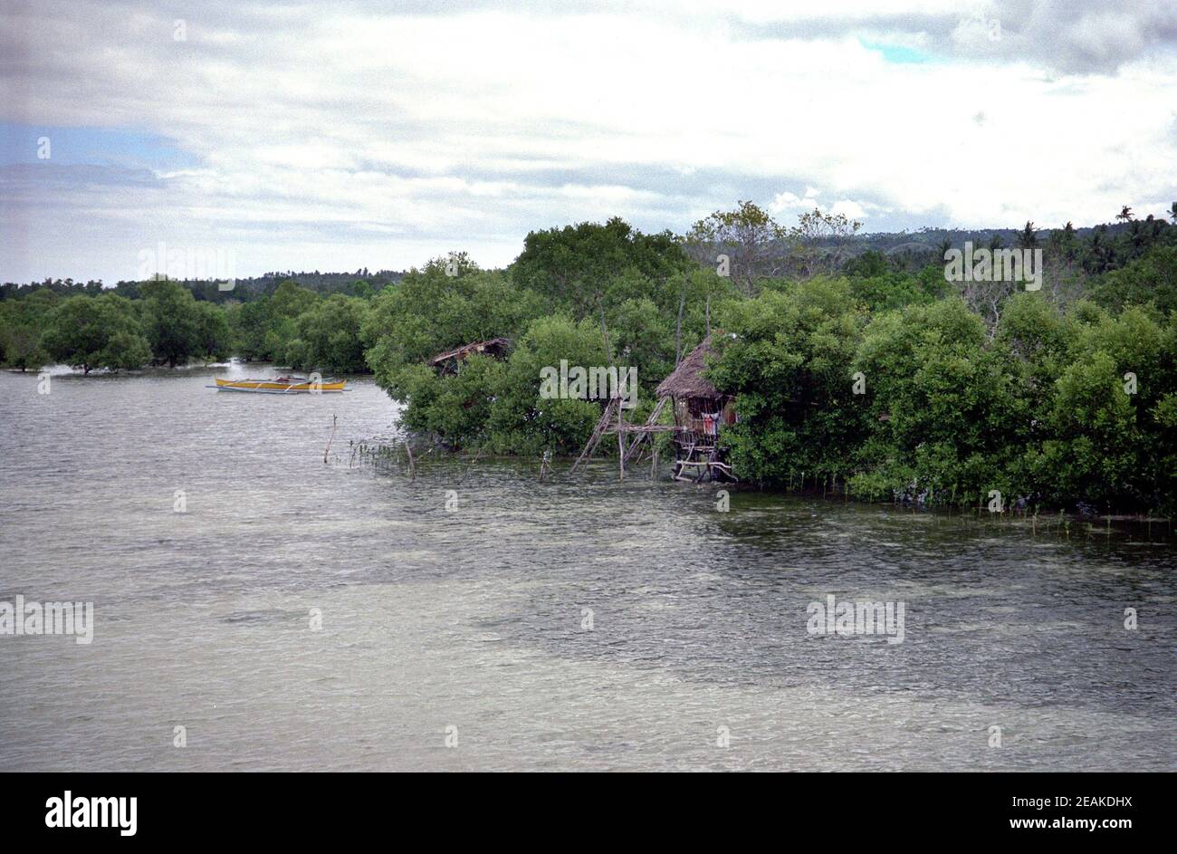 coast near Loon on Bohol in the Philippines Stock Photo Alamy