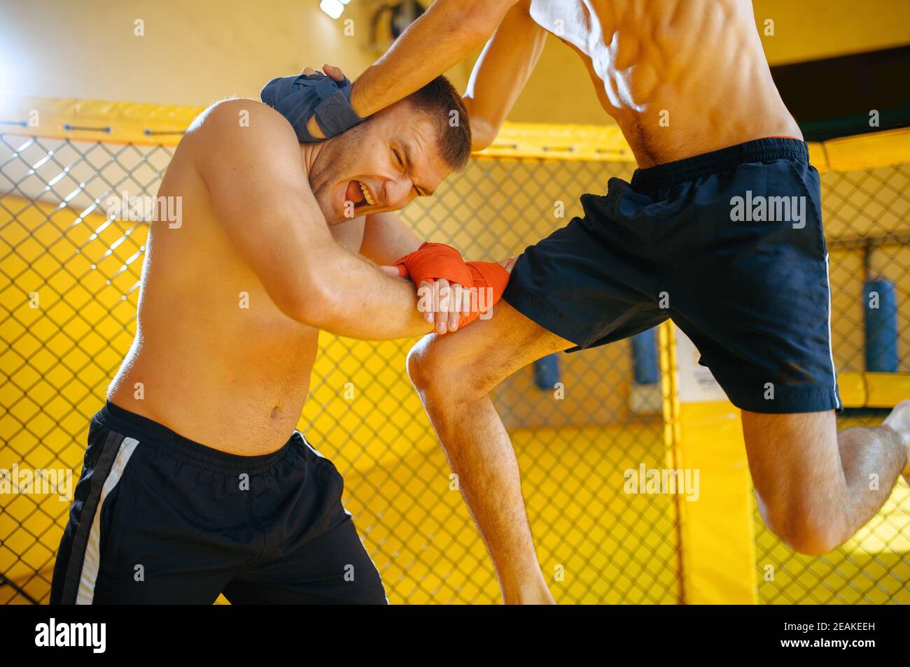 Male MMA fighter blocks knee hit, combat workout Stock Photo