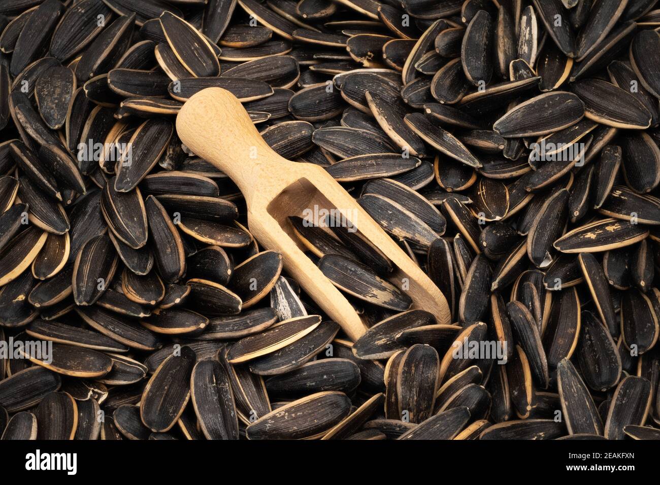 Sunflower Seed With Wooden Shovel Stock Photo