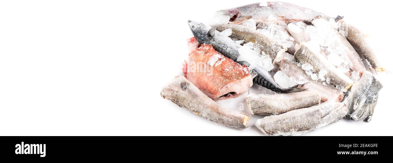 variety of frozen sea sustainable food, fish, shrimps, mackerel, hake