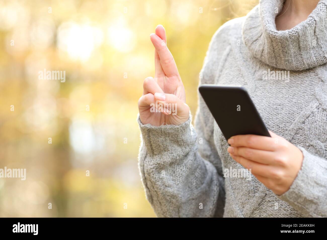 Woman hands checking phone and crossing fingers in winter Stock Photo