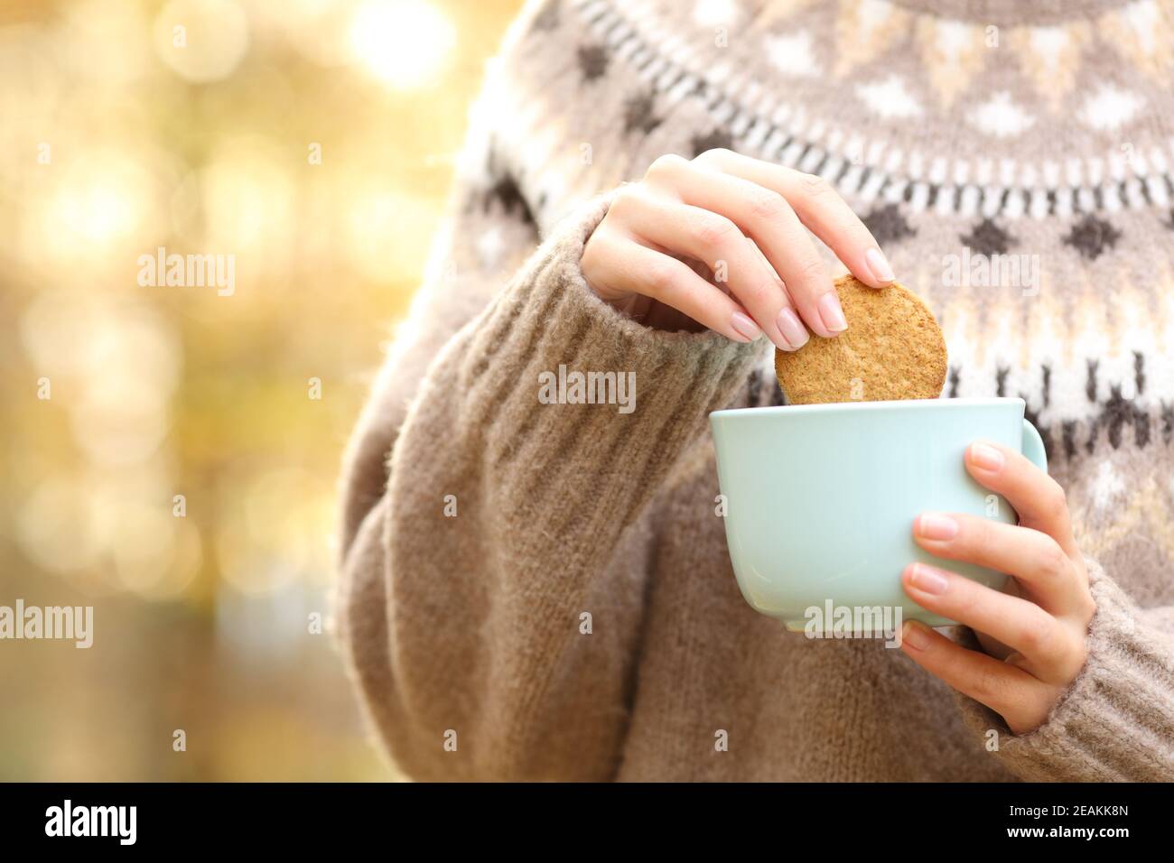 Woman dipping cookie in a coffee mug in autumn Stock Photo