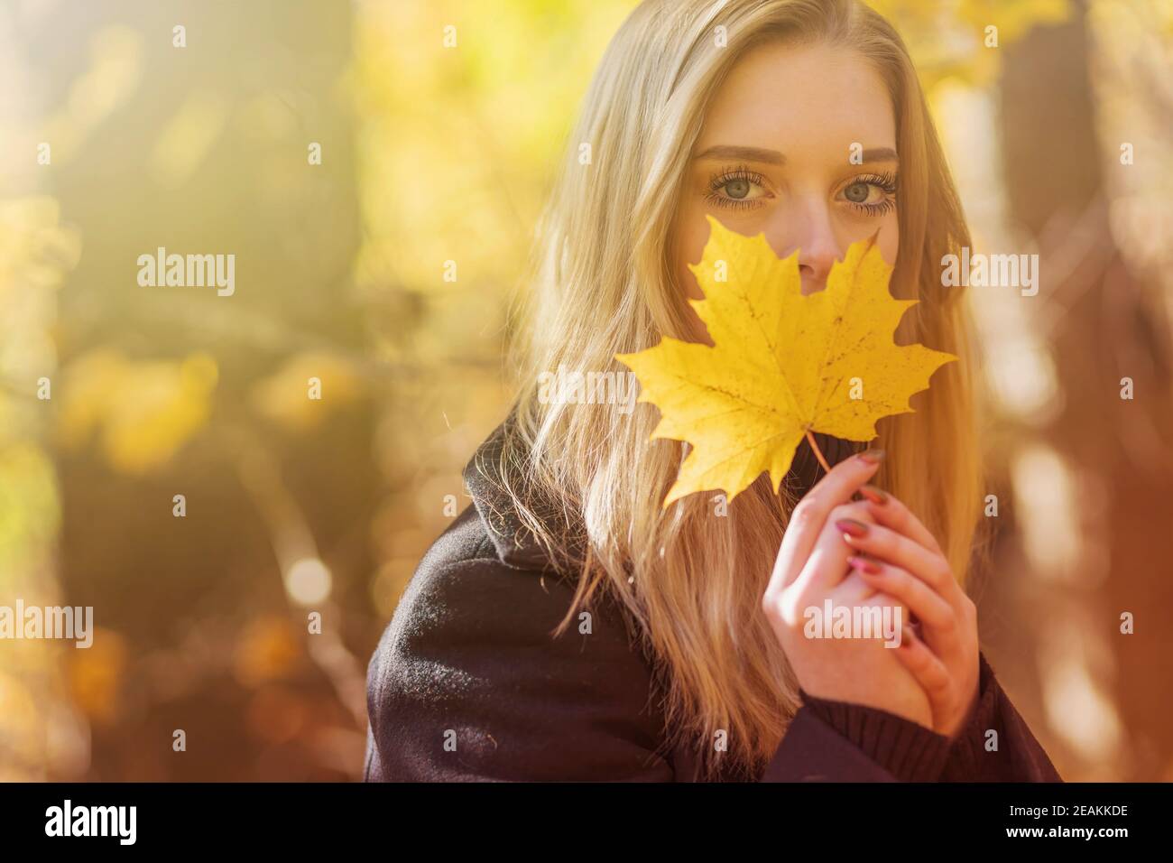 Portrait of attractive girl covering her face by maple leaf Stock Photo ...