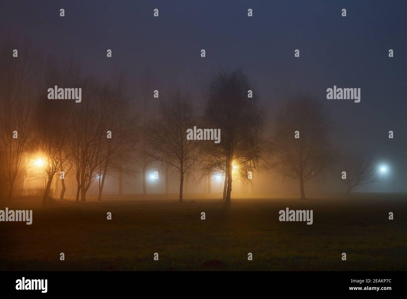 Foggy night walk hi-res stock photography and images - Alamy