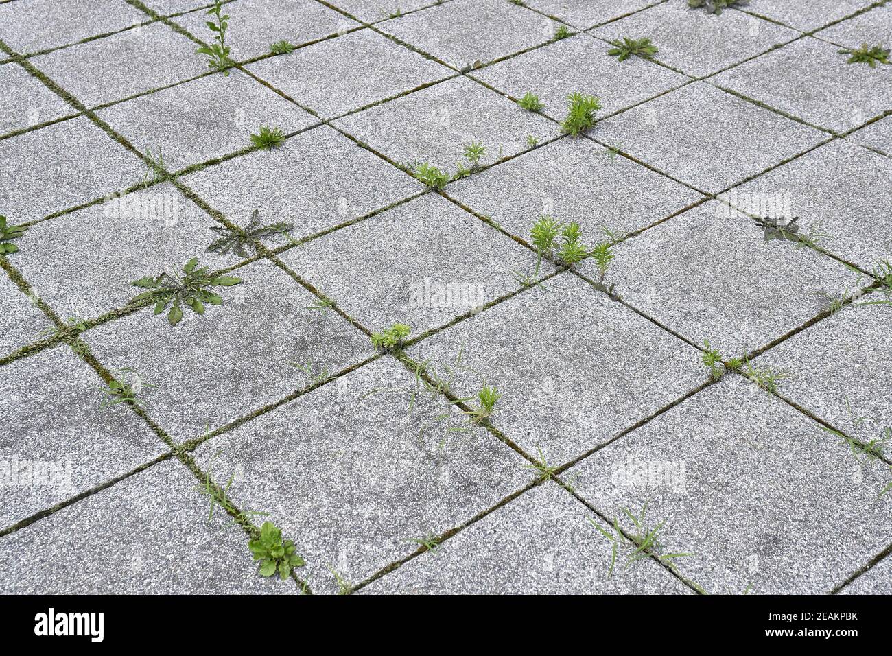 Pavement sidewalk street hi-res stock photography and images - Alamy