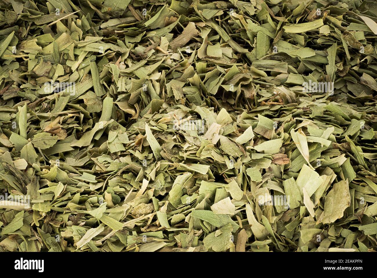 Dried Tarragon Leaves Stock Photo