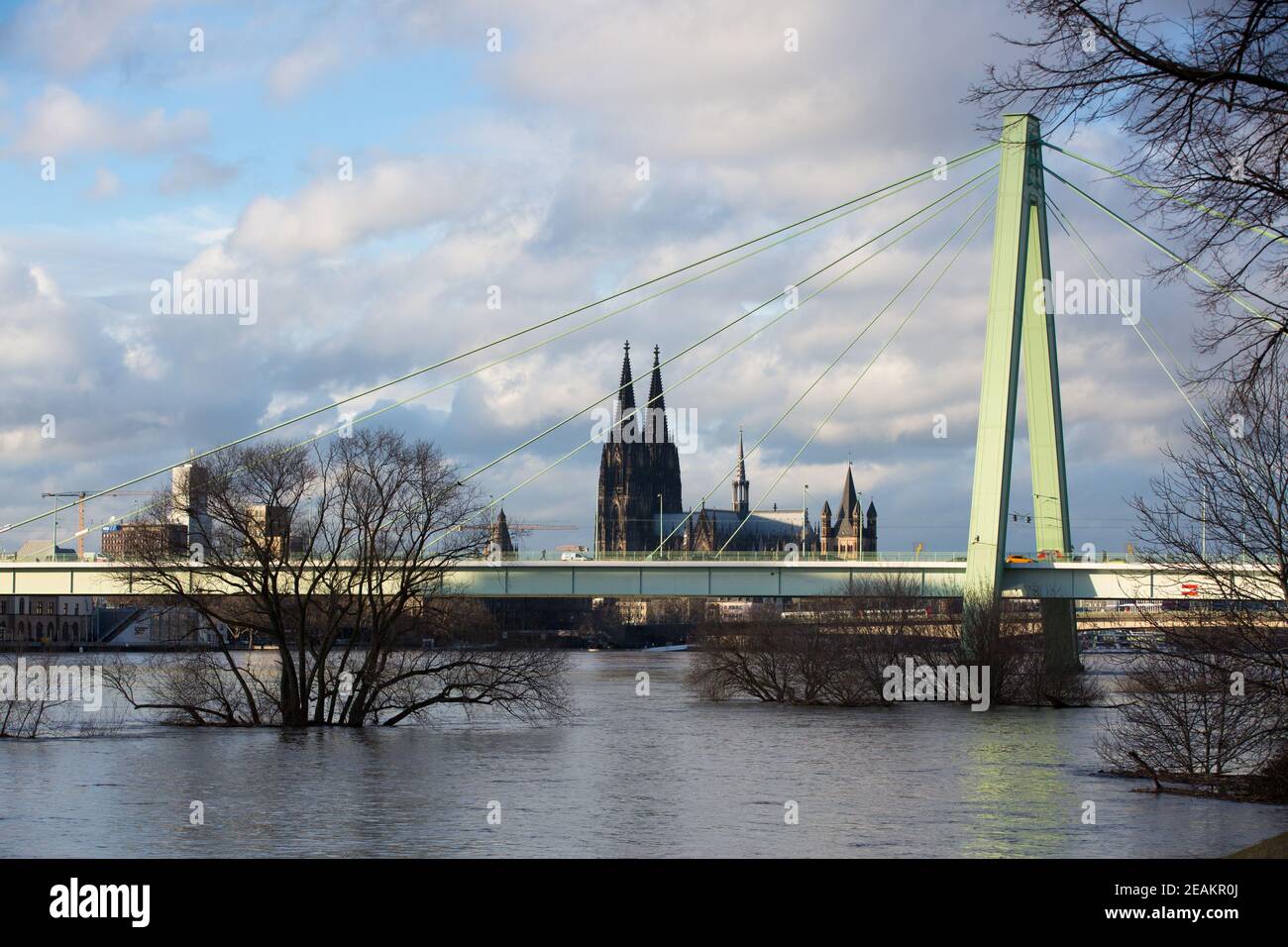 Flood In Cologne 2021, View From Poller Wiesen Downstream To The Cathedral . Flooded Poller Wiesen, Tree Stands In The Rhine Water. Rhine, Severinsbri Stock Photo