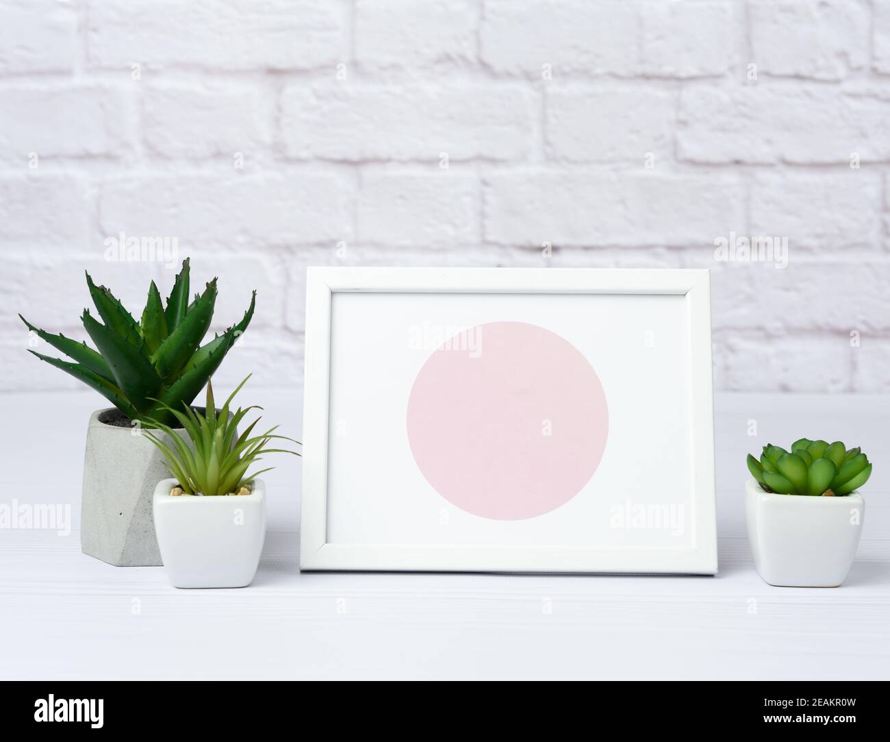 empty white wooden frame and green succulents in a ceramic pot on a white wall background Stock Photo