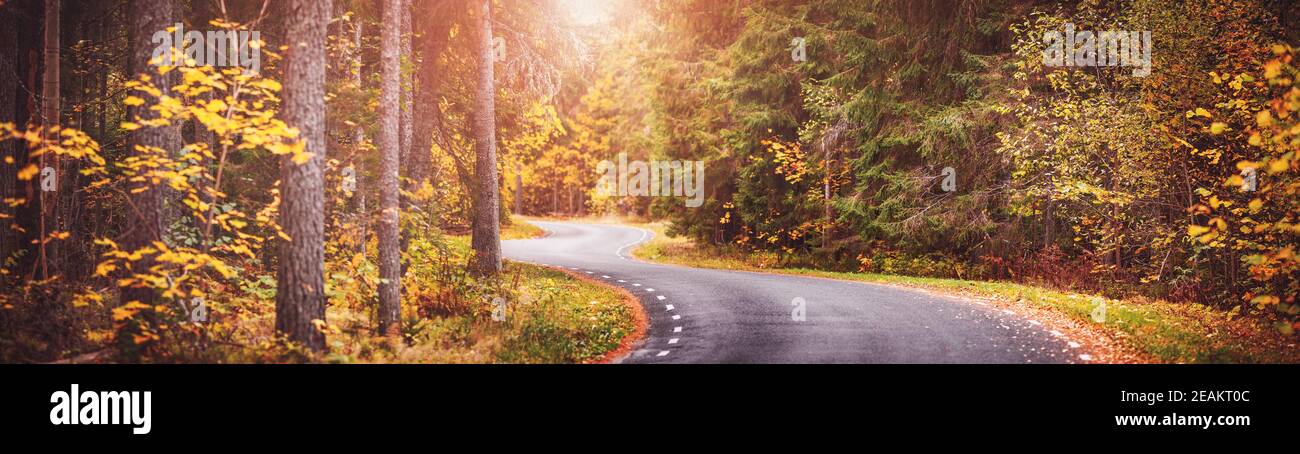 Asphalt road with beautiful trees on the sides in autumn Stock Photo ...