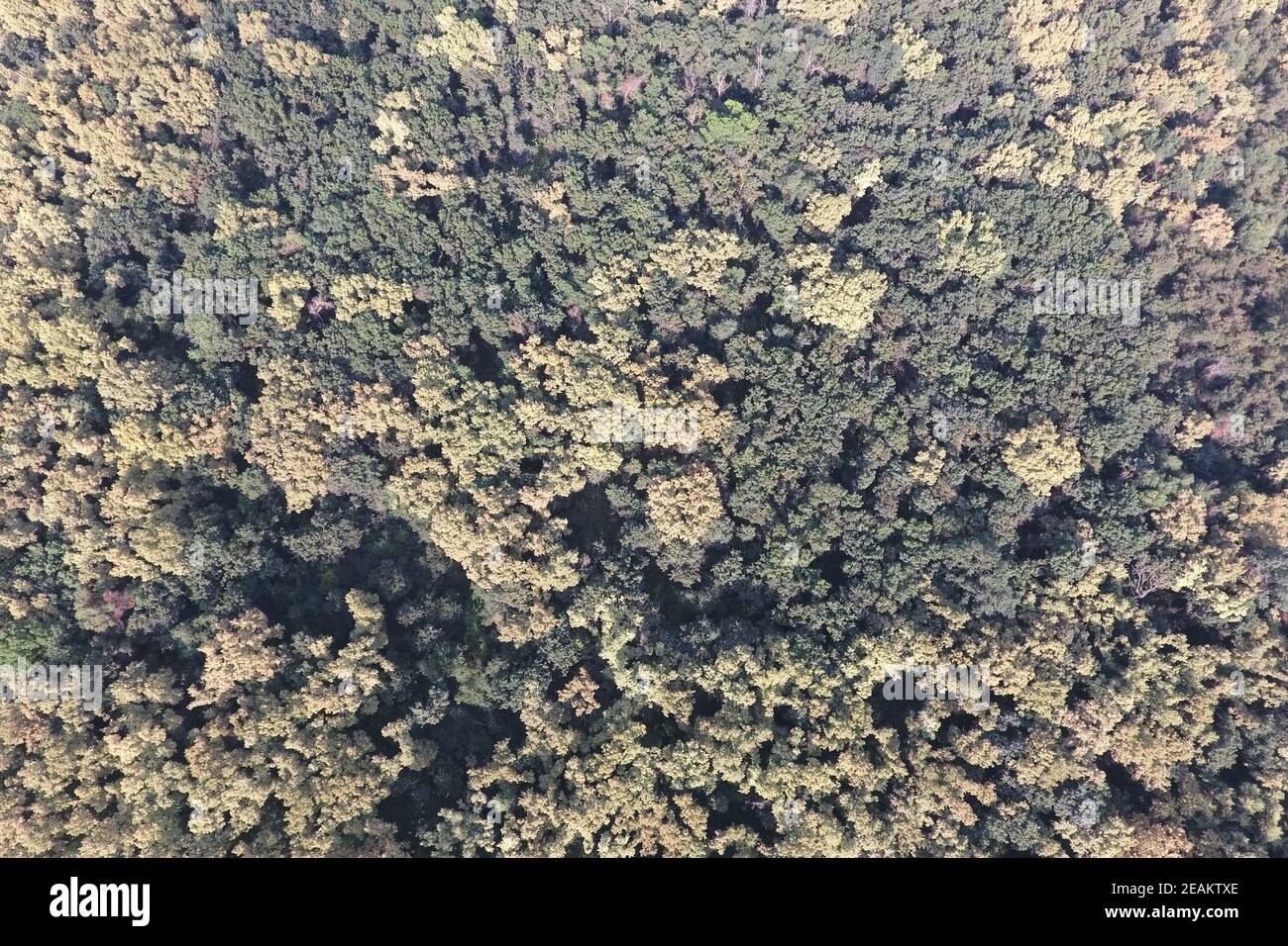 Birds eye view pattern hi-res stock photography and images - Alamy