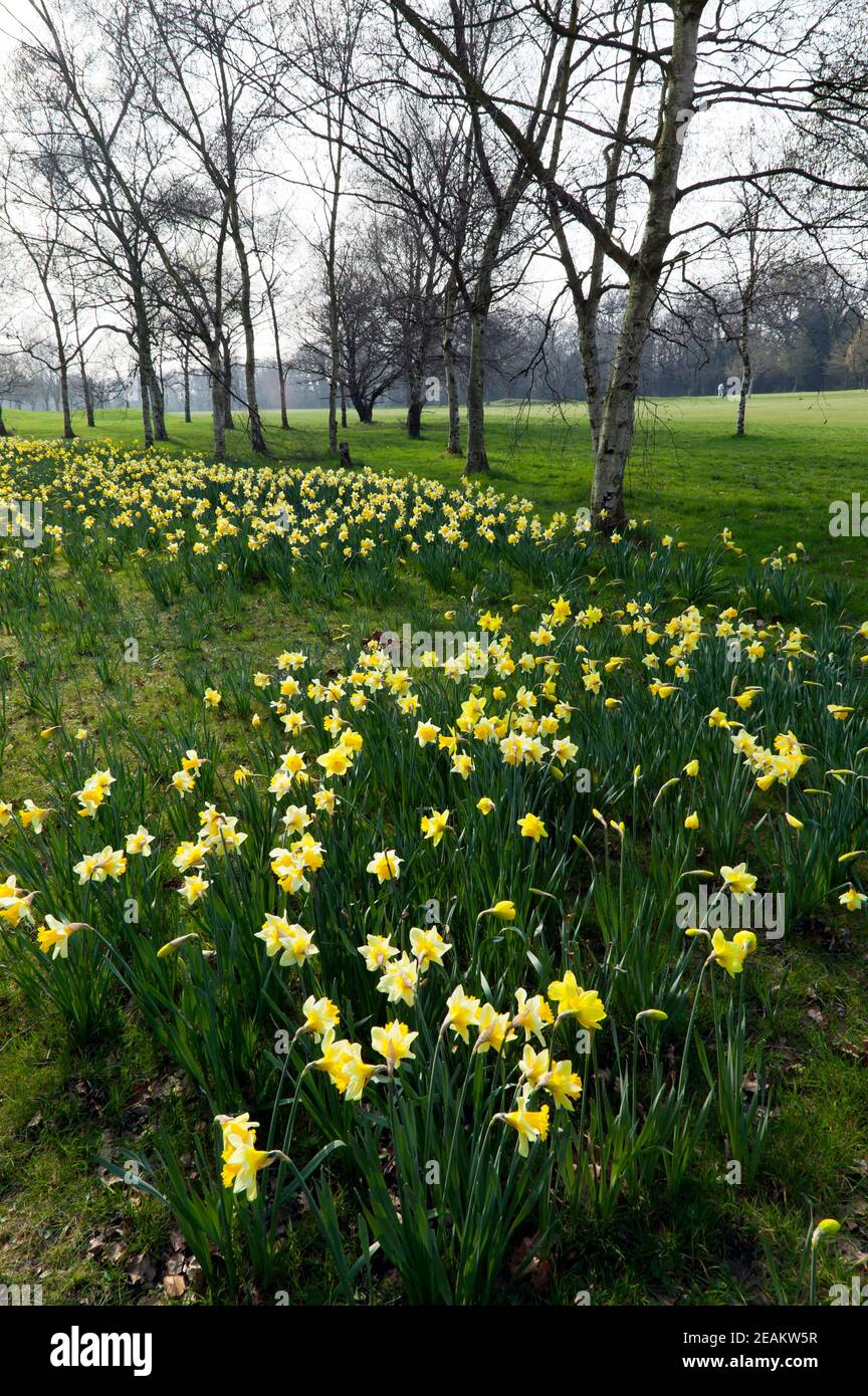 Beckenham palace hires stock photography and images Alamy
