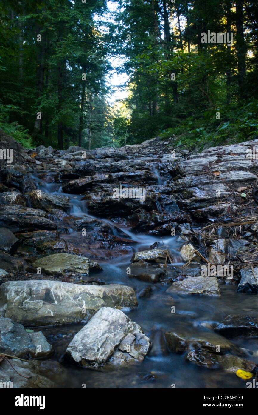 Mountain river flows between picturesque summer stones. Rocks in the mountains with water flowing Stock Photo