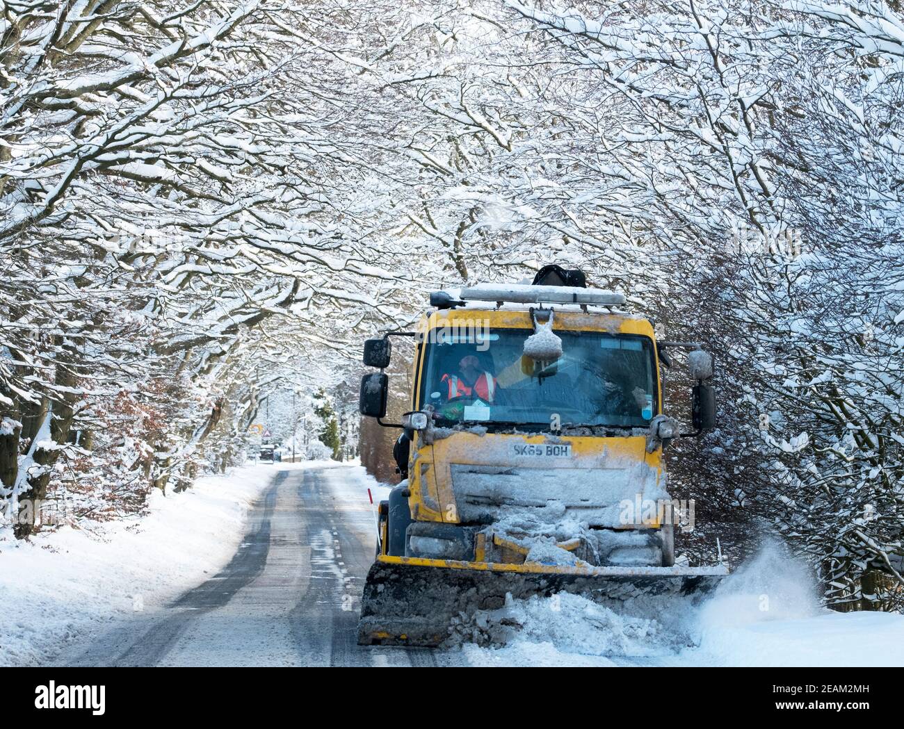 West Lothian, Scotland. Weather: 10th February, 2021 Storm Darcy: A Snow ploughs clears snow through an avenue of trees near Stoneyburn, West Lothian, Scotland, UK. .    Credit: Ian Rutherford/Alamy Live News. Stock Photo