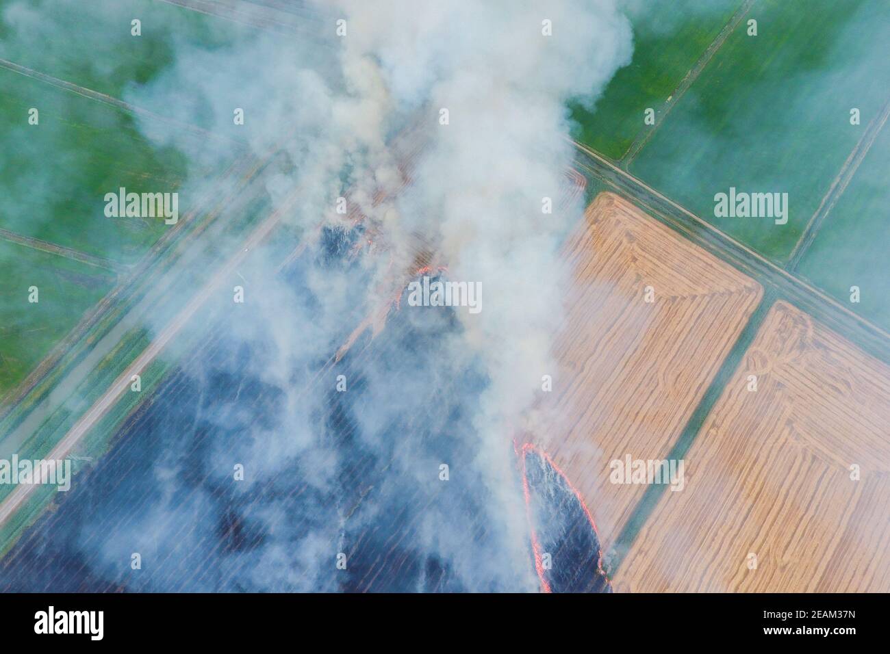 Burning straw in the fields of wheat after harvesting Stock Photo