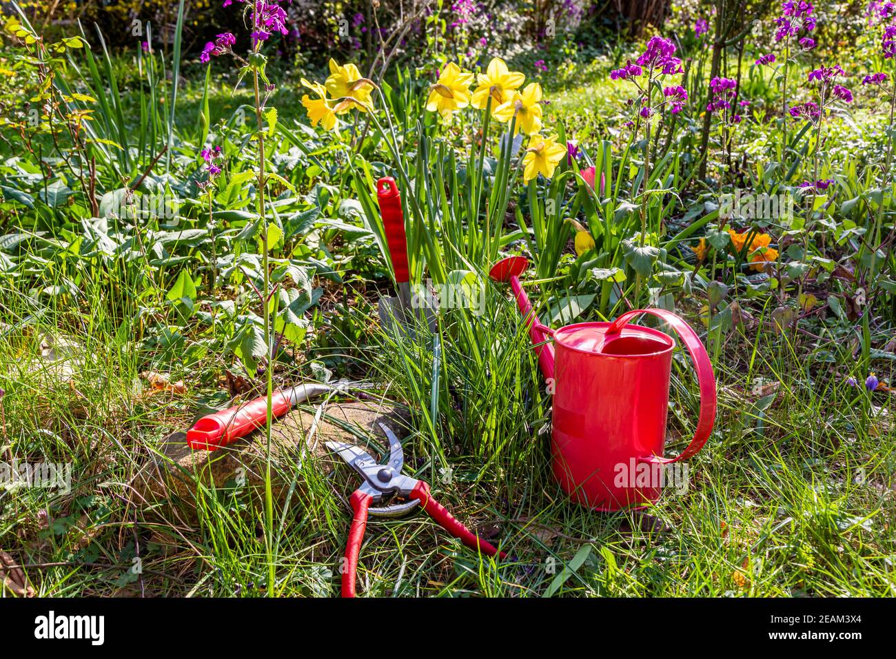 Gardening in the garden in spring Stock Photo