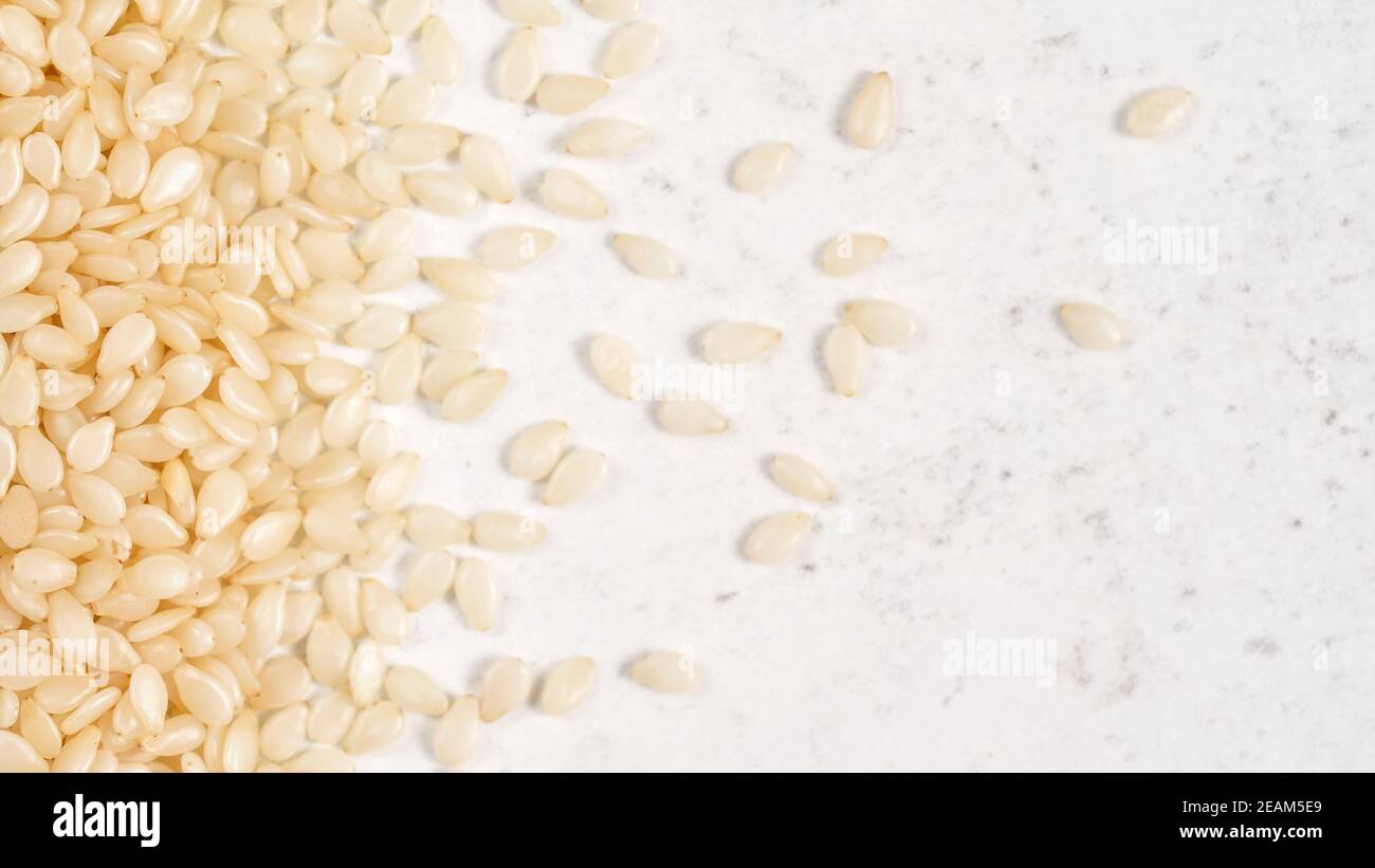 White sesame - Sesamum indicum - seeds on white stone like board, view from above Stock Photo