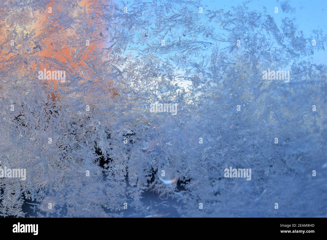 Closeup texture of a frosty pattern on a window glass Stock Photo - Alamy
