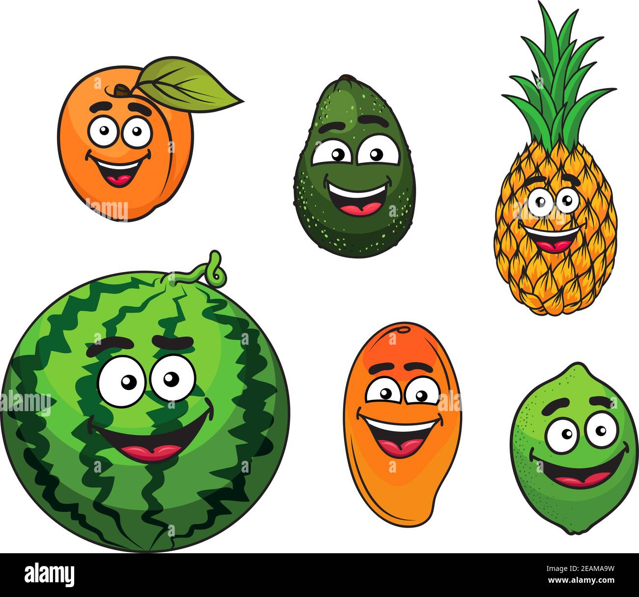 Apricot lime Stock Vector Images Alamy