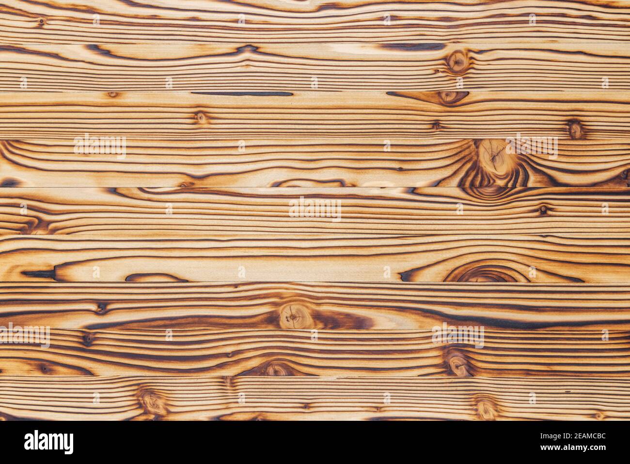 Tabletop Wallcovering Lichen | Still Life Wallcoverings | VillaNova